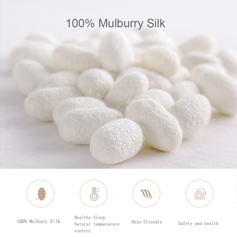 Liv-Esthete 100% Silk Duvet Co - đánh giá và giá Skincare Skin 1004