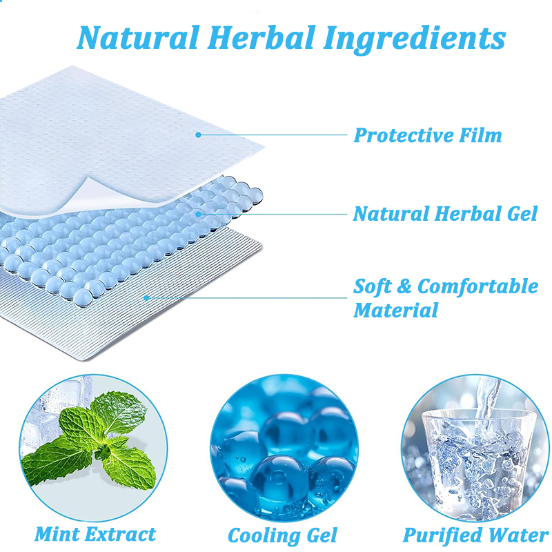 4/10/20/40/100-Piece Ice Patch - đánh giá và giá Skincare Skin 1004